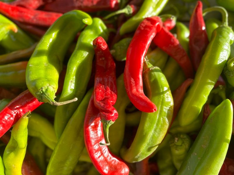 The Allure Of Chile