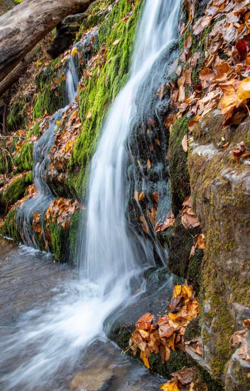 Nature's Perfect Symphony: The Mt. Tammany Red Dot Trail Waterfall Experience