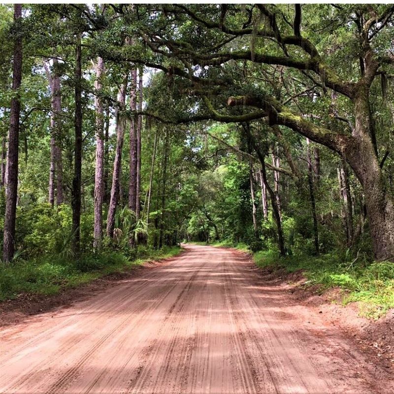 Daufuskie Island: Car-Free Haven of Gullah Culture
