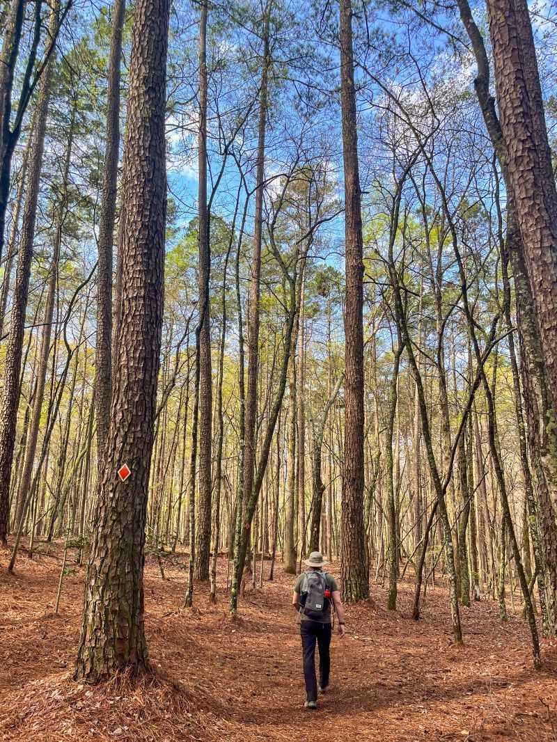 Kings Mountain Hiking Trail
