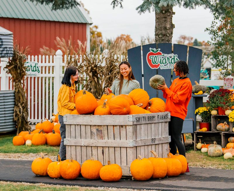 Wiard's Orchards And Country Fair, Ypsilanti, Michigan