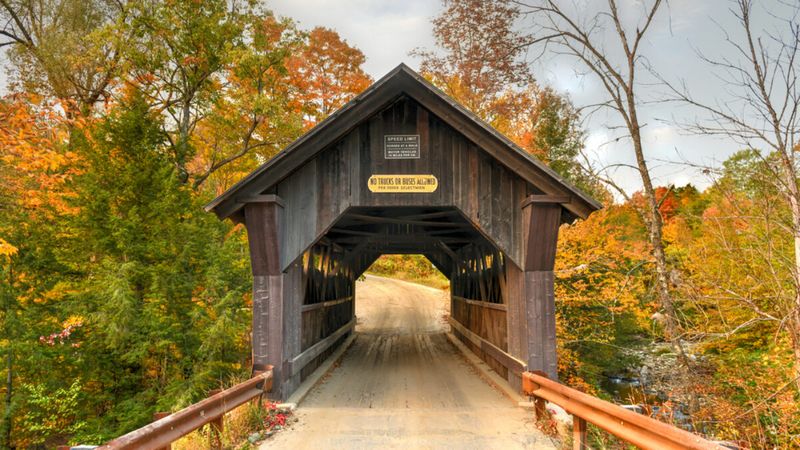 The Bridge's Real History