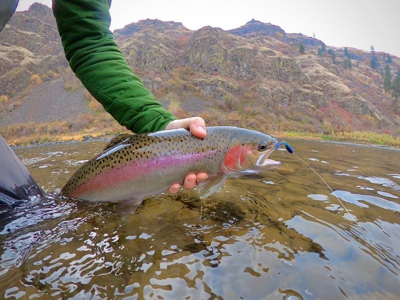 World-Class Steelhead Fishing