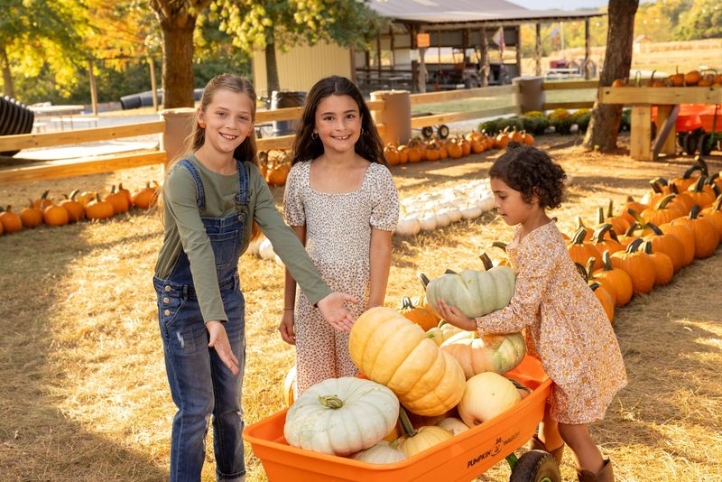 Country Pumpkins