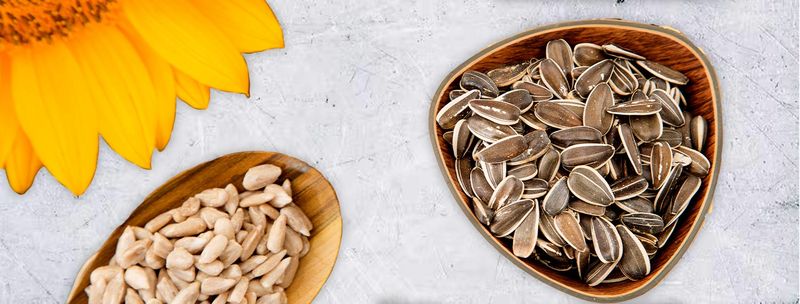 Dakota Sunflower Seeds for Skin Repair