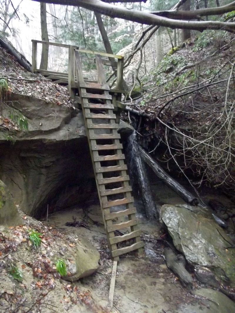 Sandstone Ladders and Canyon Pathways