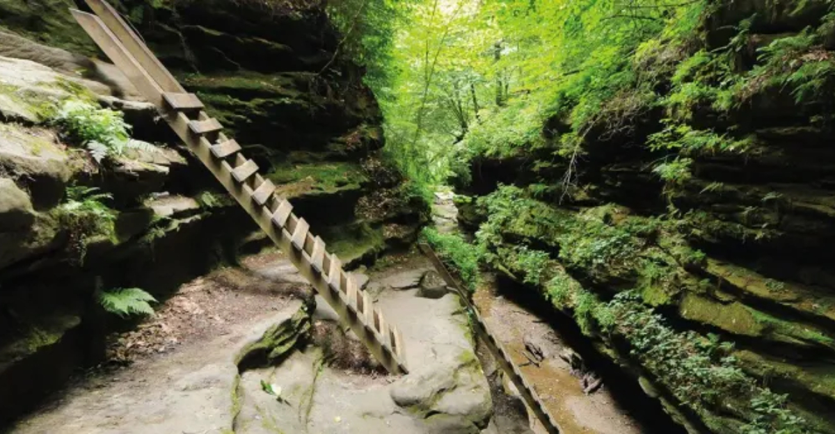 Indiana’s Parke County Natural Wonder Cracks America’s Top 10 State Parks