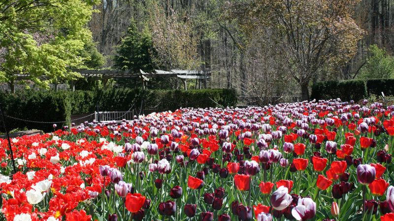 Botanical Treasures At The Visitor Center