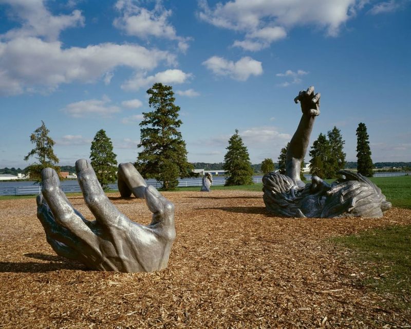 It Once Lived At Hains Point