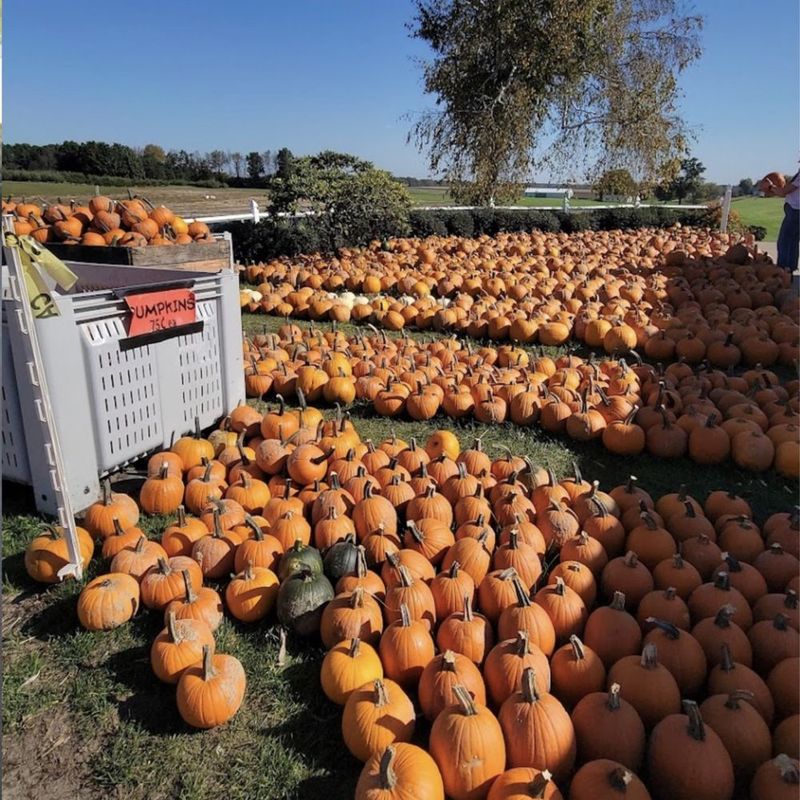 Piggott's Farm Market & Bakery