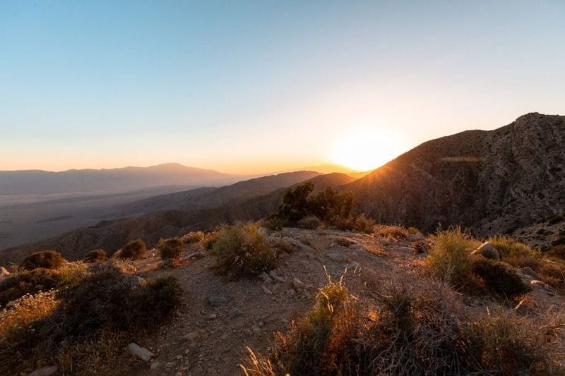 Desert Awakening Magic