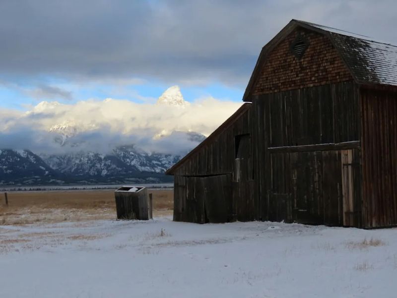 Summit County's Snowy Wilderness