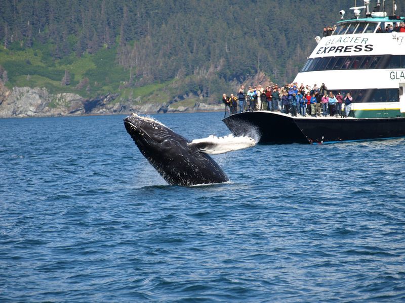 Seward / Kenai Fjords National Park, Alaska