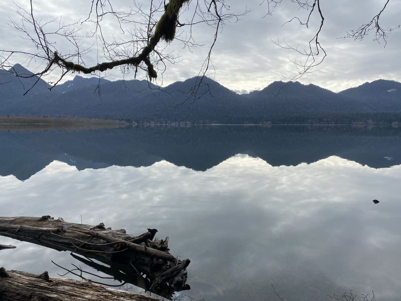 Lake Quinault: Rainforest Reflection