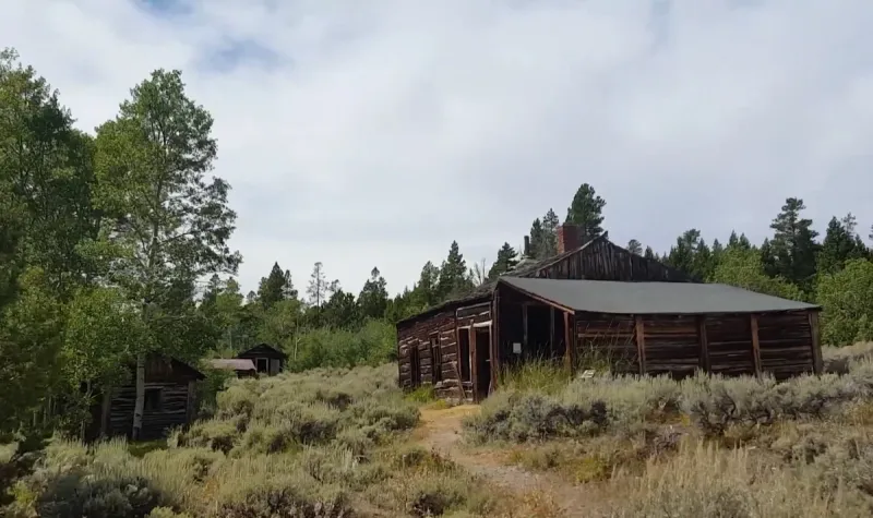 Miner's Delight: The Gold Rush Settlement