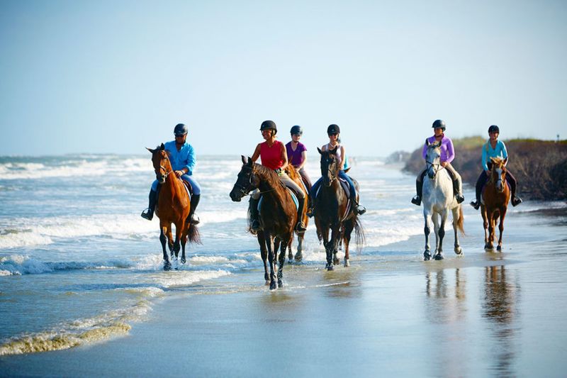 Seabrook Island: Private Retreat for Equestrian Enthusiasts