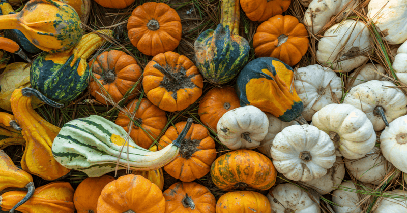 Wurth Farms