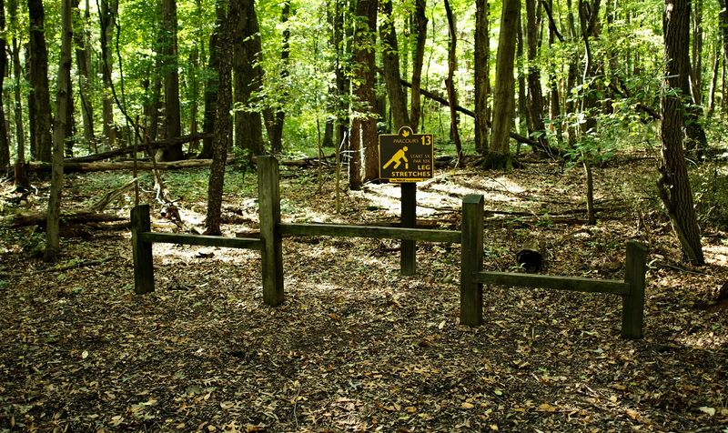 Goodyear Heights Metro Park Trails