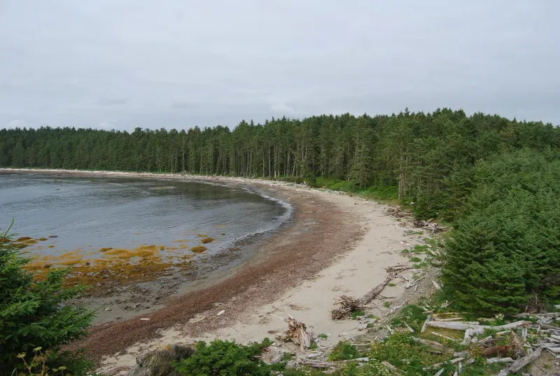 Lake Ozette: Remote Coastal Wilderness