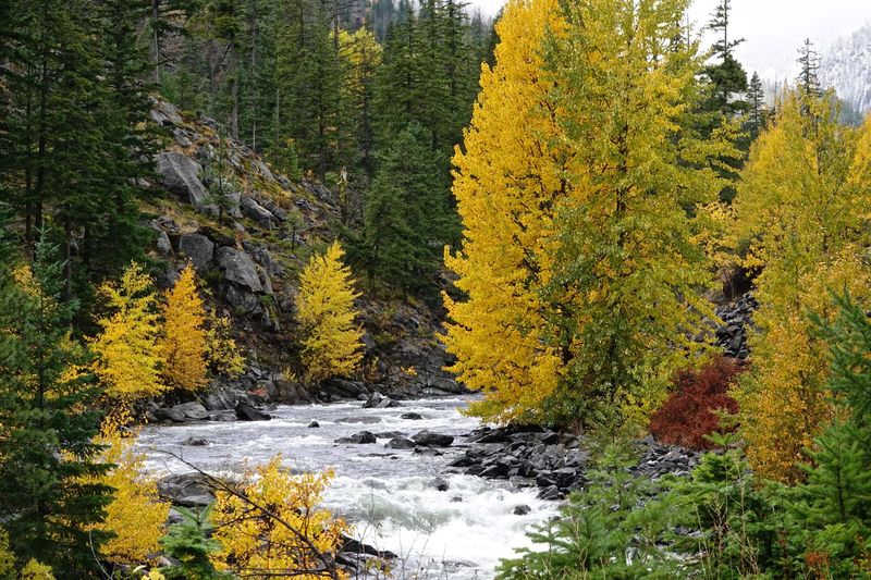 Icicle Gorge Nature Loop (Leavenworth), Oct 8–18