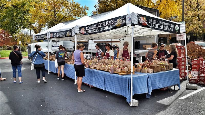 Fort Collins Farmers Market