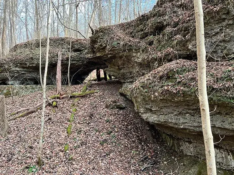 Fort Hill: The Hilltop Sanctuary
