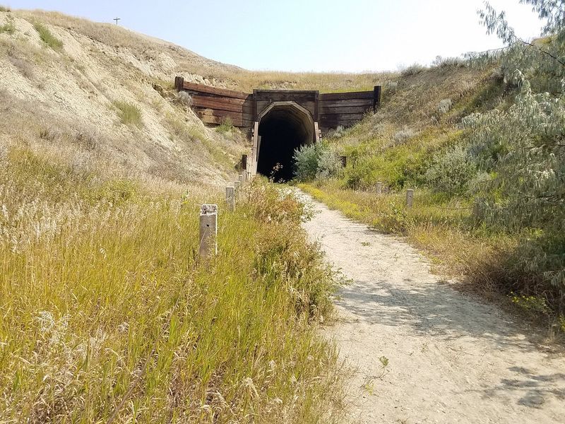 When Nature Reclaims History