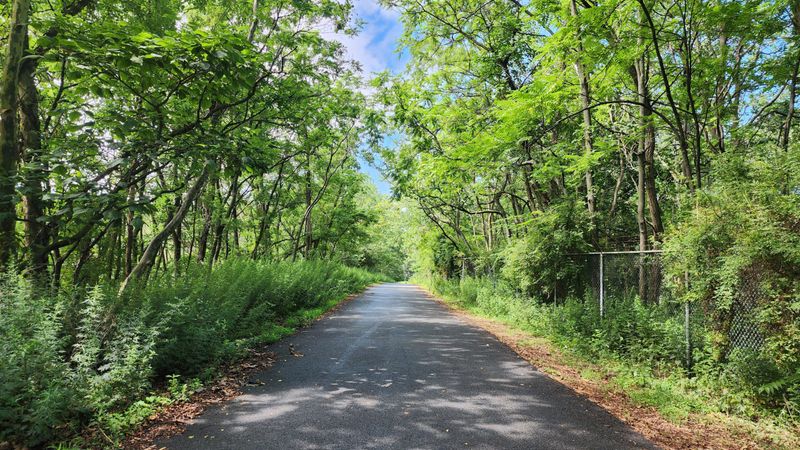 Houdaille Quarry Area Trails