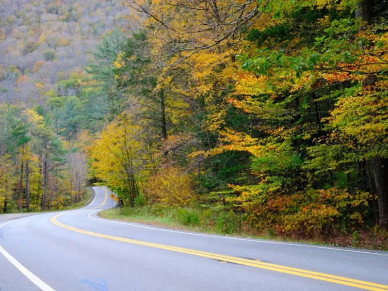 Autumn Timing Amplifies Visual Impact