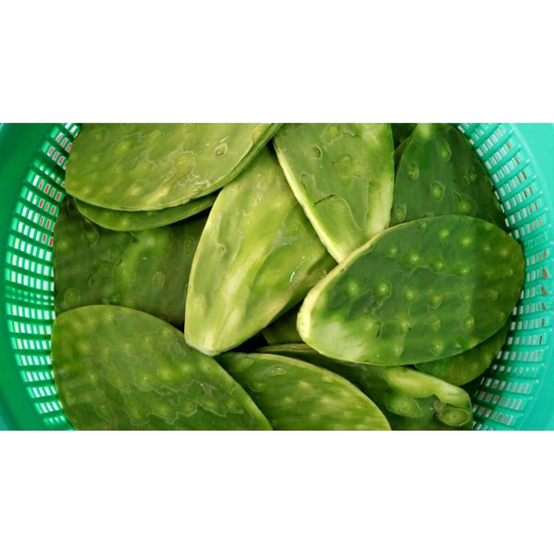 Fresh Nopales