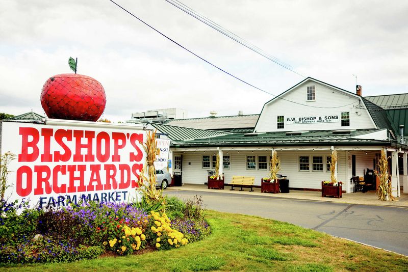 Bishop's Orchards: Coastal Picking Paradise