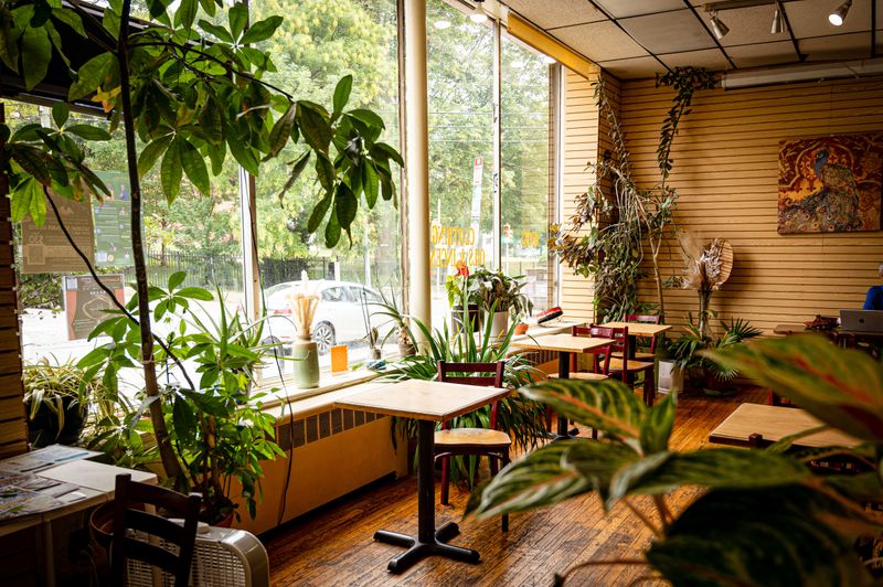 The Nile Cafe: Germantown's Vegan Soul Food Pioneer