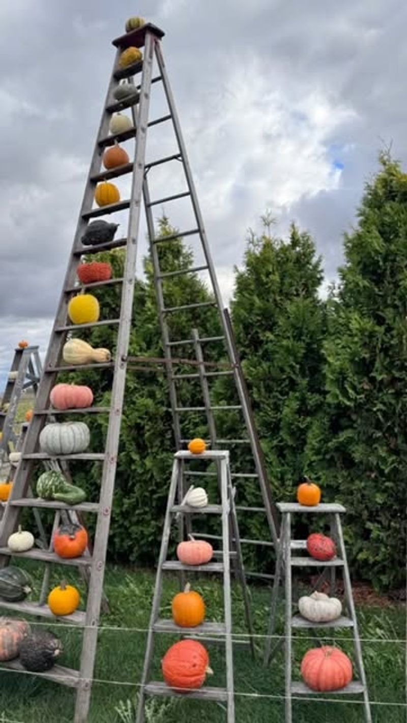 A World of Pumpkins, Squash, and Gourds