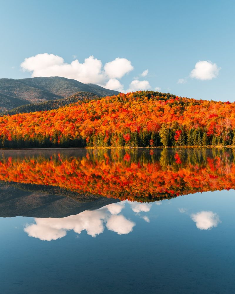 Adirondack's Wilderness Canvas