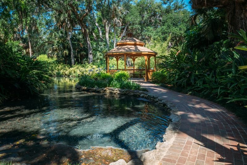 Washington Oaks Gardens: Nature's Masterpiece
