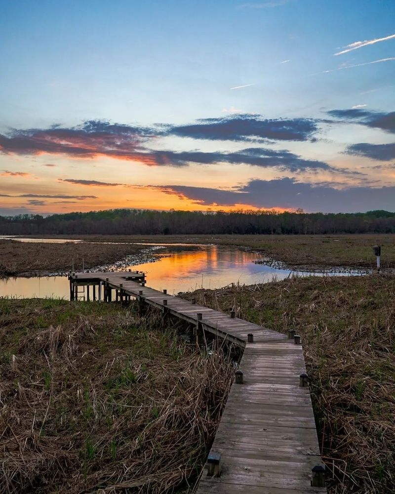 Sunset Marsh Views