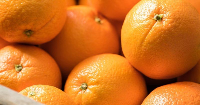 Florida Oranges: Vitamin C Champions