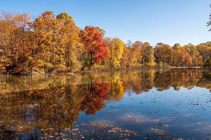 Fall Colors Paint The Perfect Picture