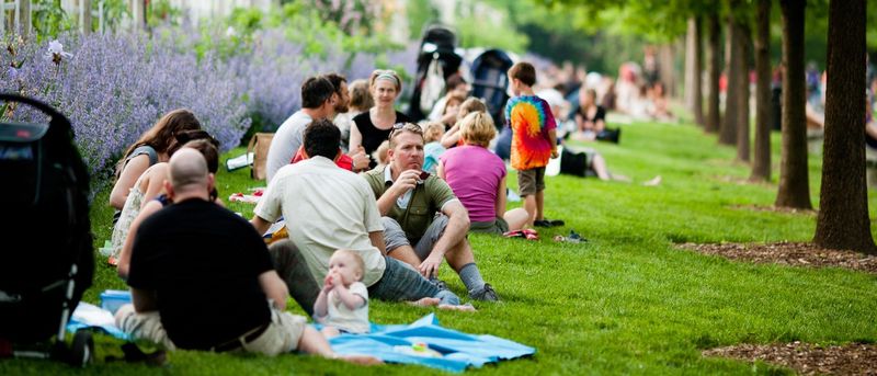 Investigate Picnic Possibilities