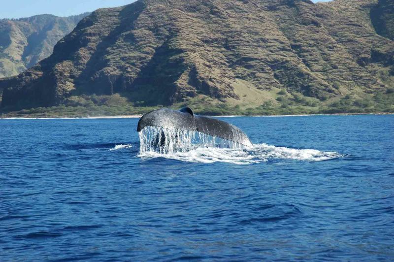 Oʻahu, Hawaiʻi
