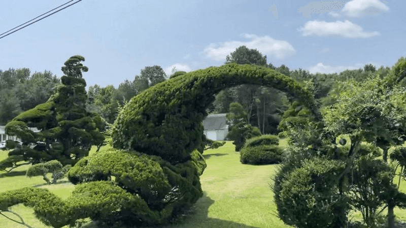 A Garden That Never Sleeps
