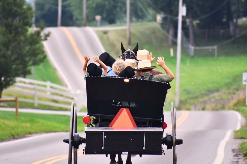 Amish Buggy Tours Reveal Local Life