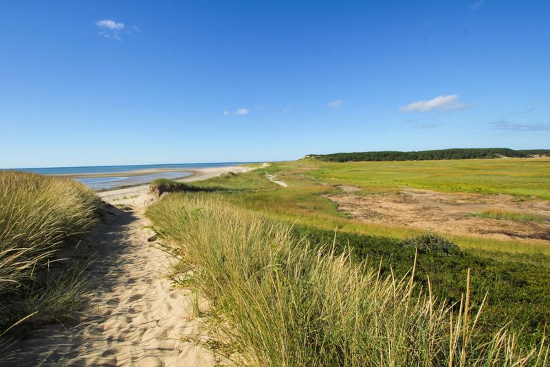 Great Island Trail (Wellfleet, Cape Cod)