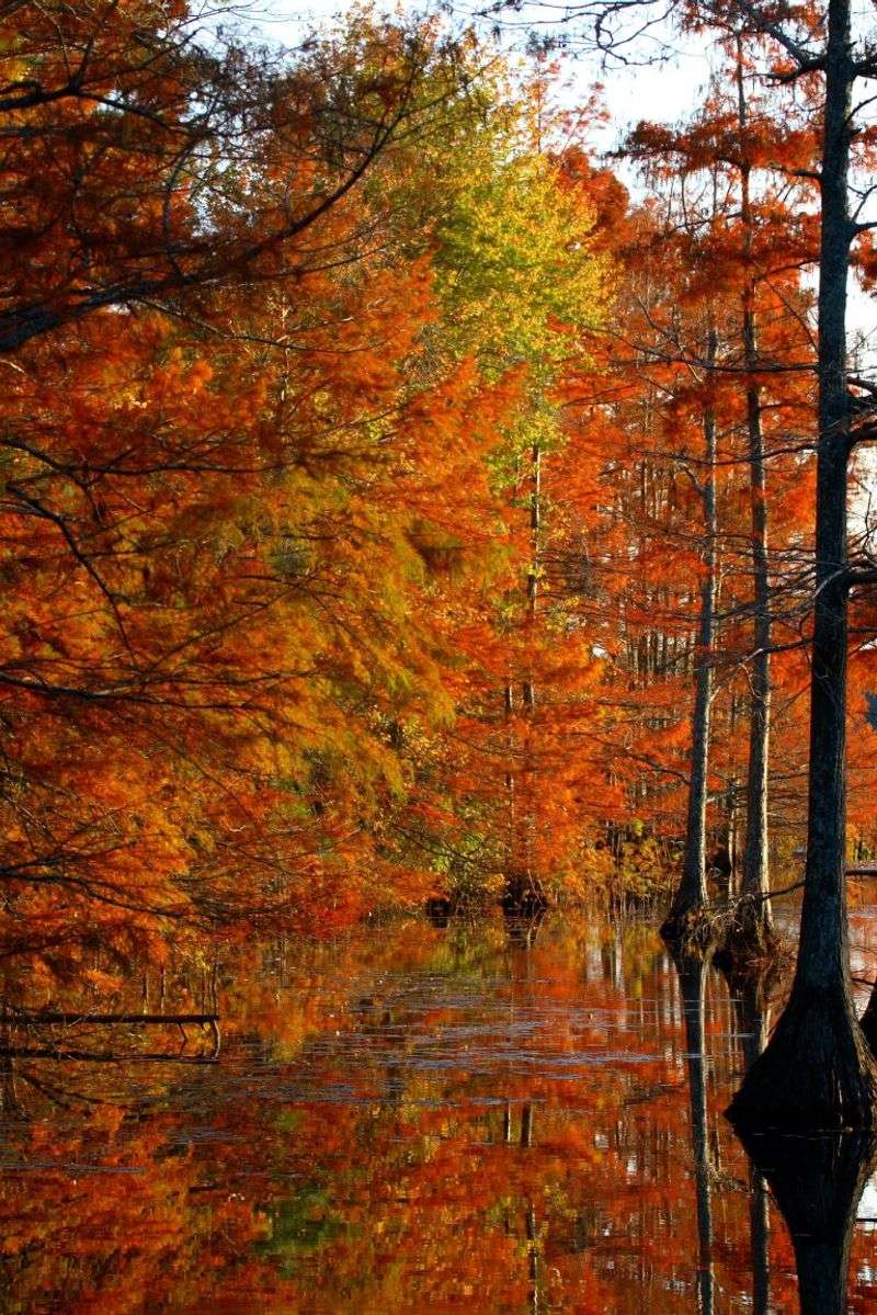 Fall Photography Hotspots