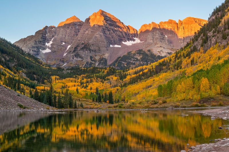 Colorado's Golden Aspen Groves