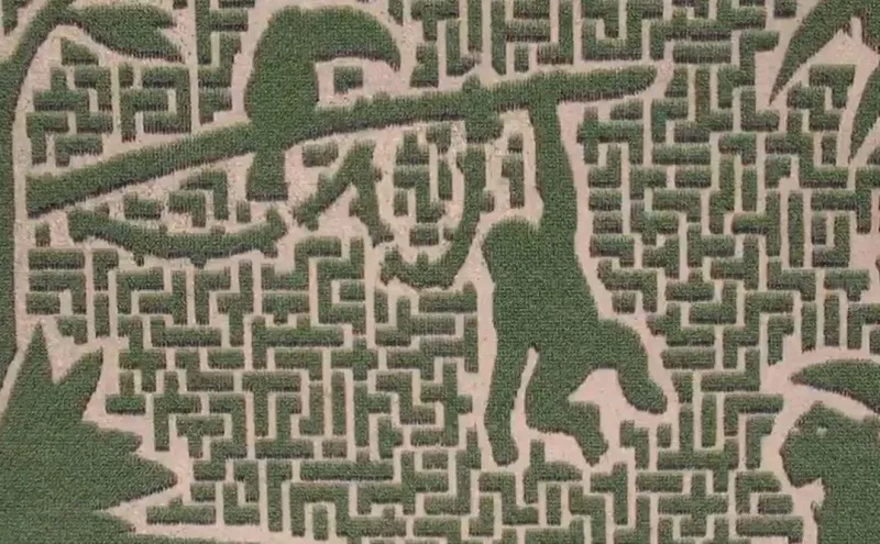 Intricate Aerial Designs That Wow