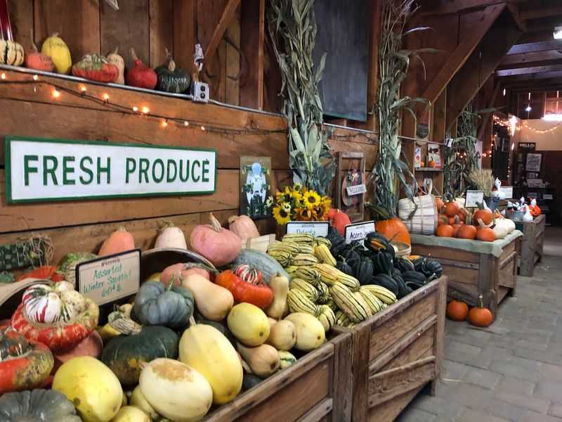 Harvest Market Treasures Without Ticket Hassles