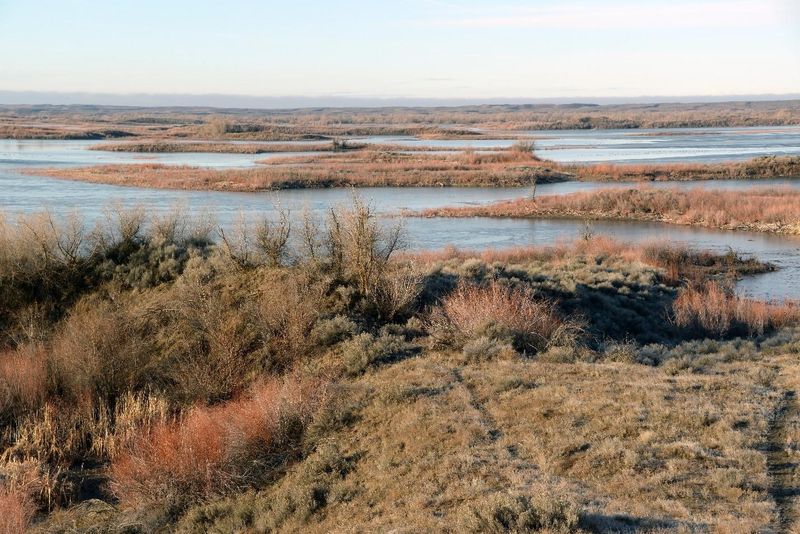 Potholes Reservoir: Bird-Watcher's Paradise