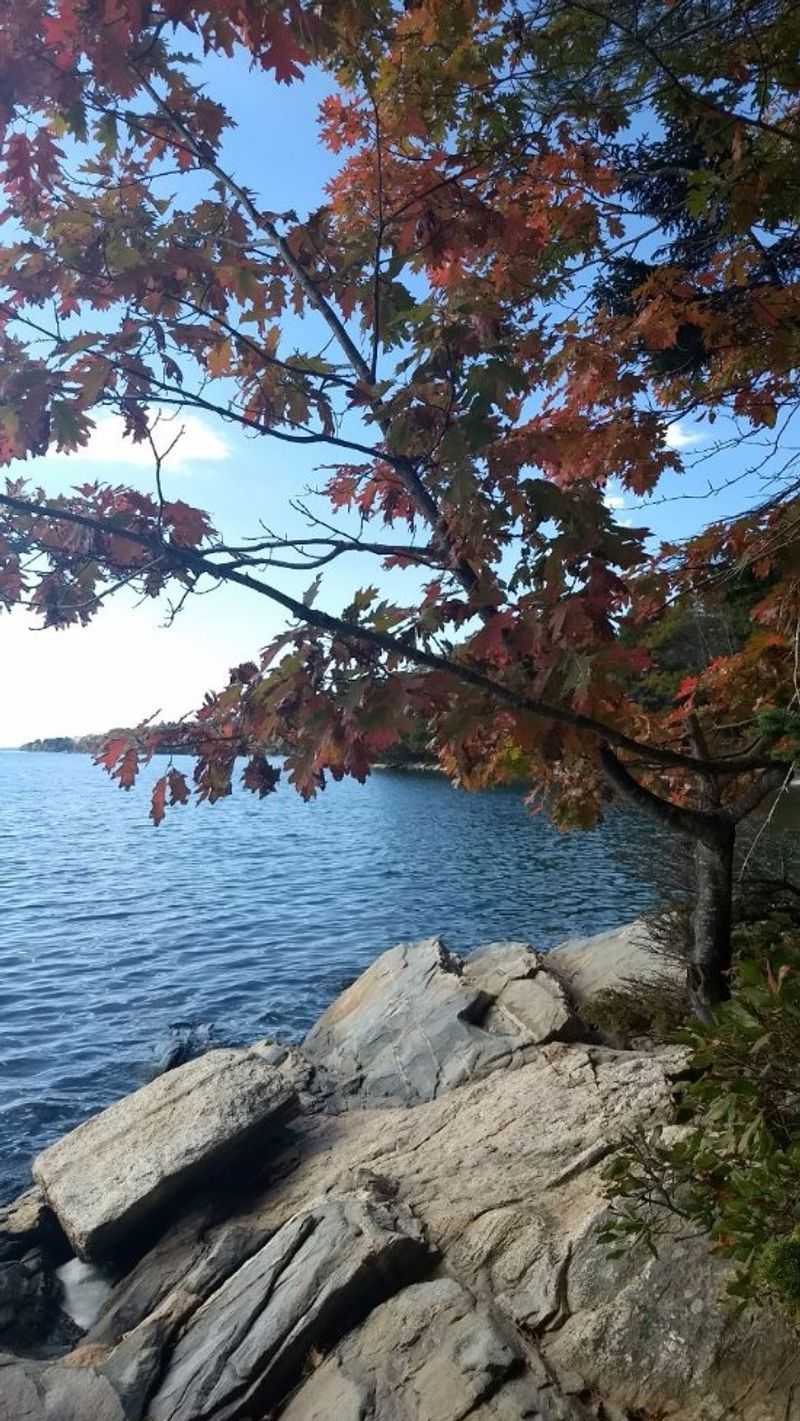 Wolfe's Neck Woods State Park In Freeport
