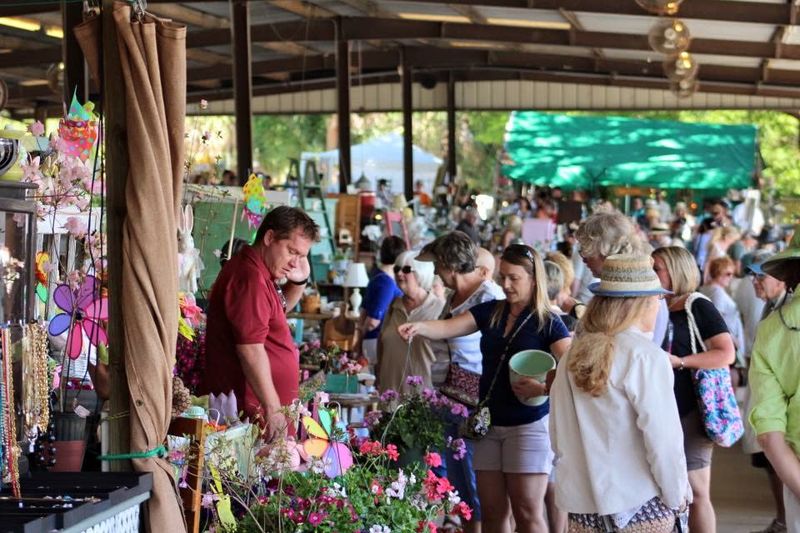 Dual Market Structure Creates Diverse Shopping Experiences
